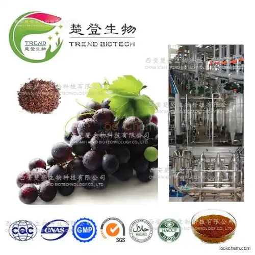 100% Nature High ORAC Value Grape Seed Extract/High OPC/High Polyphenol/Vitis vinifera L.
