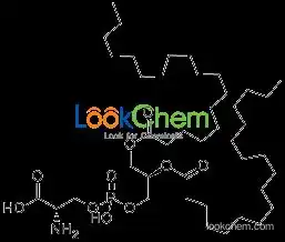 100% Natural soybean extracted phosphatidylserine 20%,50%,70%,80%,85%,95%HPLC;Water soluble PS 5%