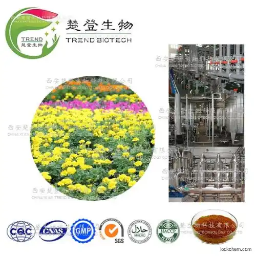 100%natural marigold extract luteolin1%, 2%,5%,10%,20%,40%,50%,90%,98% HPLC