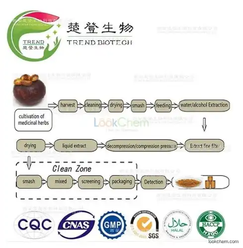 Natural Herbal Extract Alpha Mangostin10%20%30%40%90%