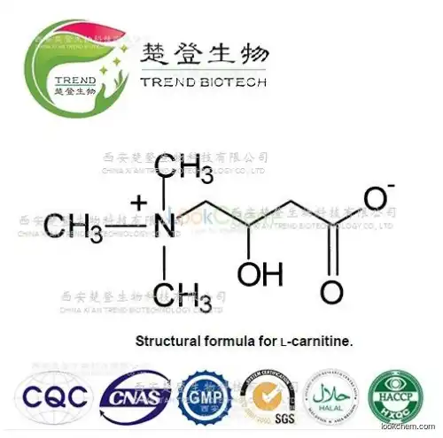 Good Quality L-Carnitine Base Supplier for Lose Weight and Dietary Supplements