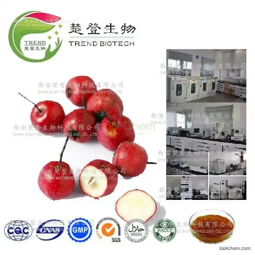 100% Natural hawthorn extract flavonoids5%,20%,25%,80%;vitexin 2% ; vitexin rhamnosus 2% -9%;5:1;10:1