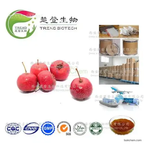 100% Natural hawthorn extract flavonoids5%,20%,25%,80%;vitexin 2% ; vitexin rhamnosus 2% -9%;5:1;10:1