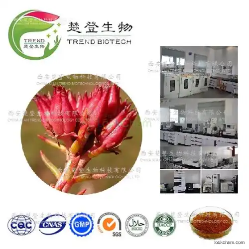 hot sale Rhodiola Rosea Extract Salidroside Powdere/Best price Rhodiola Rosea Powder Extract/Rhodiola Rosea Powder Extract