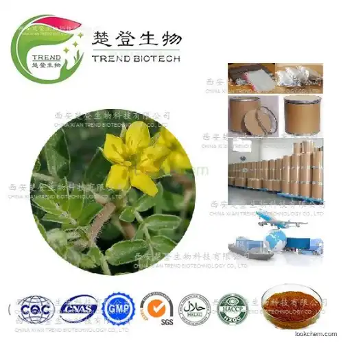 Nutritional Supplements tribulus terrestris, Sex medicine sexual performance enhancer tribulus terrestris extract