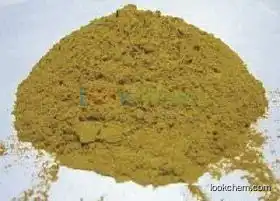 Weeping Forsythia Capsule Extract