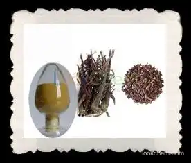 Top Quality 100% Natural Arnebia Root Extract shikonin