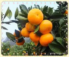 Moq 1kg factory supply directly P.E.CAS No.: 478-01-3 white powder plant extract 100% Natural Tangerine Peel P.E