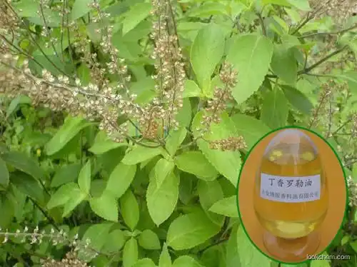 High quality Eugenol-type Basil Oil with best price