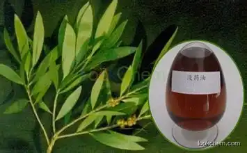 High quality Myrrh Oil with best price