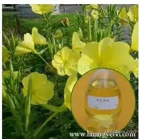 High quality Evening primrose oil with best price