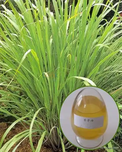 High quality Citronella Oil with best price