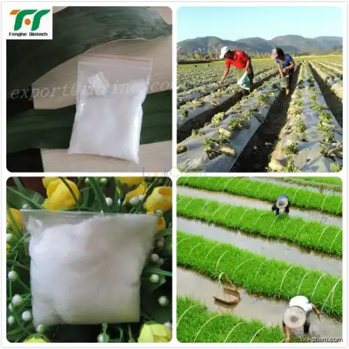 Sell Zinc sulphate Hepta