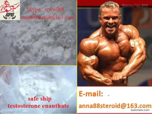 High Quality Muscle Building Steroid Anabolic /Testosterone Enanthate Steroids
