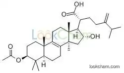 Pachymic Acid