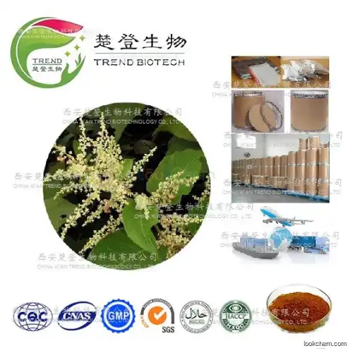 Factory supply pure resveratrol Resveratrol10%,20%，50%，98% HPLC powder stock