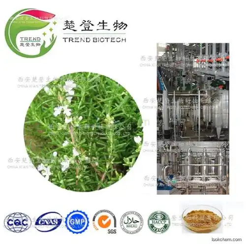 Manufacturer Supply 100% natural Rosemary extract Carnosic acid; Rosemary acid ;Ursolic;