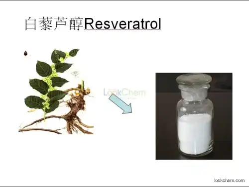 Resveratrol
