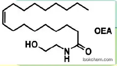 Oleoylethanolamide -- OEA