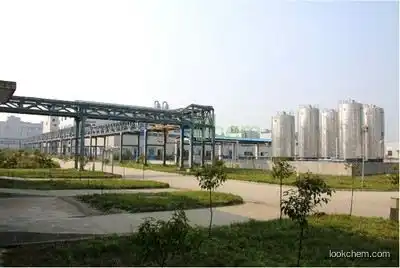 Prasugrel Hydrochloride