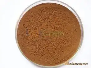 High quality Siberian Ginseng Extract