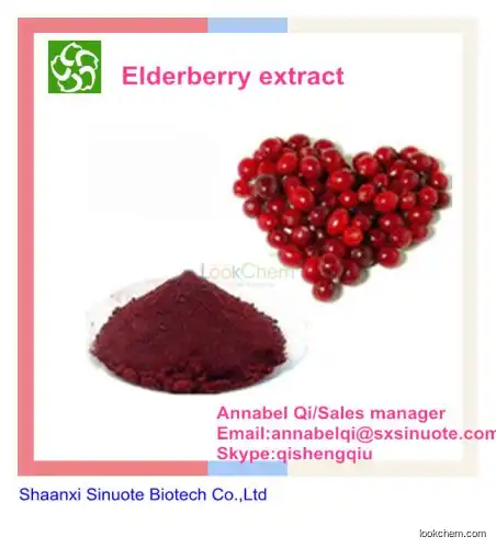Factory Supply 100% High Quality Plant Extract Natural Elderberry