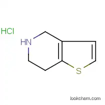 4,5,6,7-Tetrahydrothieno[3,2-c]pyridine Hydrochloride