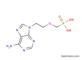 Adefovir (106941-25-7)