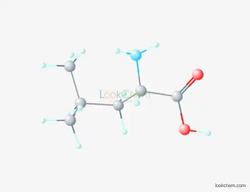 High Qaulity 99% AJI DL-Leucine