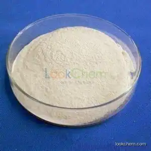 China supplier Chloramphenicol