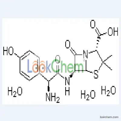 Amoxicillin 61336-70-7 98% HPLC