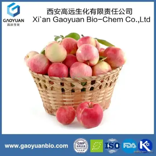 Pure Natural Apple Dietary Fiber Powder for Weight Loss with Chinese Supplier