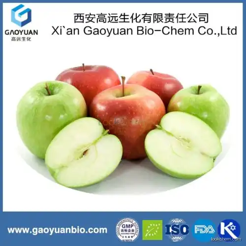 Pure Natural Apple Dietary Fiber Powder for Weight Loss with Chinese Supplier