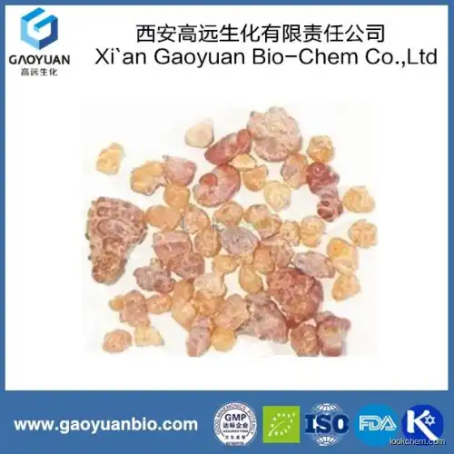 China Supplier Gaoyuan Factory Supply Pure Nature Boswellin Extract for Anticancer