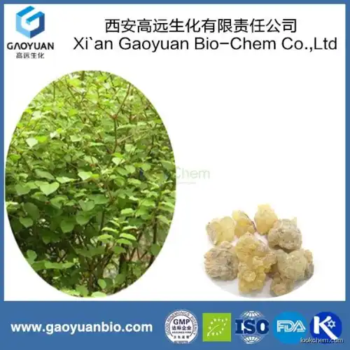 China Supplier Gaoyuan Factory Supply Pure Nature Boswellin Extract for Anticancer