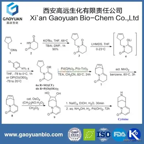 Gao Yuan Factory Supply Pure Nature Gorse Extract Cytisine Powder in Bulk