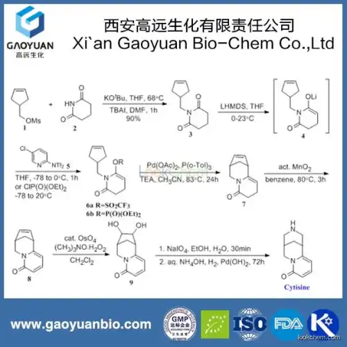 China Supplier Gaoyuan Factory Supply Natural Cytisine Powder for Antiinfection