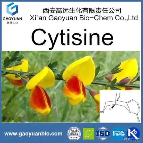 Cytisine Supplement with 98% for Antioxidant Activity by China Manufacturer