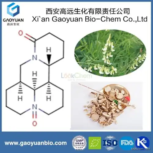 China Supplier Gaoyuan Factory Supply Natural Oxymatrine for Health Food Products