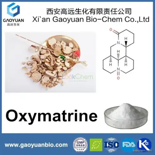 China Supplier Gaoyuan Factory Supply Natural Oxymatrine for Health Food Products