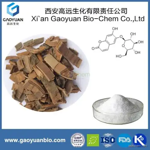 100% Pure Natural Esculin Hydrate 98% Was Supplied by China Supplier Gaoyuan Factory