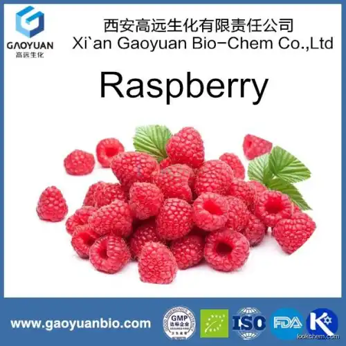 High quality raspberry extract raspberry ketone for cosmetic use for lossing weight products