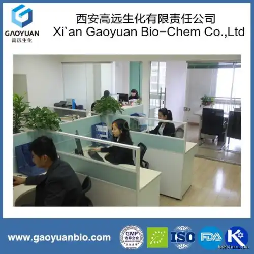 High quality organic quercetin 95% by xi'an gaoyuan factory