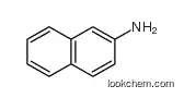 Supply 2-Aminonaphthalene