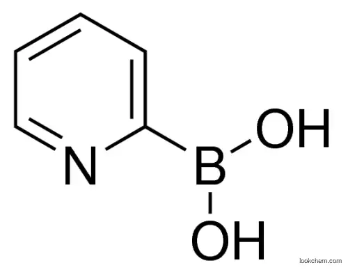 High quality PYRIDIN-2-YLBORONIC ACID