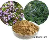 High Quality Pure Natural Thyme Leaf Extract