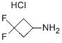 CyclobutanaMine, 3,?3-?difluoro-?, hydrochloride (1:1)
