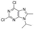 2,6-Dichloro-9-isopropyl-8-Methyl-9H-purine