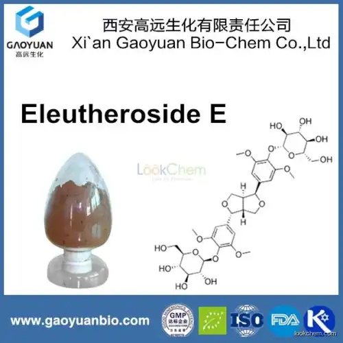 High quality siberian ginseng p.e eleutheroside B 1.5% for improving the blood-circulation