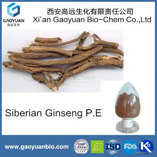 High quality siberian ginseng p.e eleutheroside B 1.5% for improving the blood-circulation